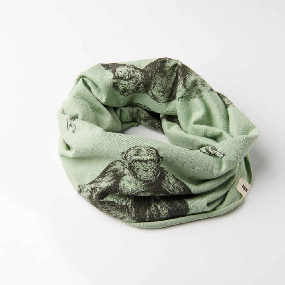 Chimpancé image 1