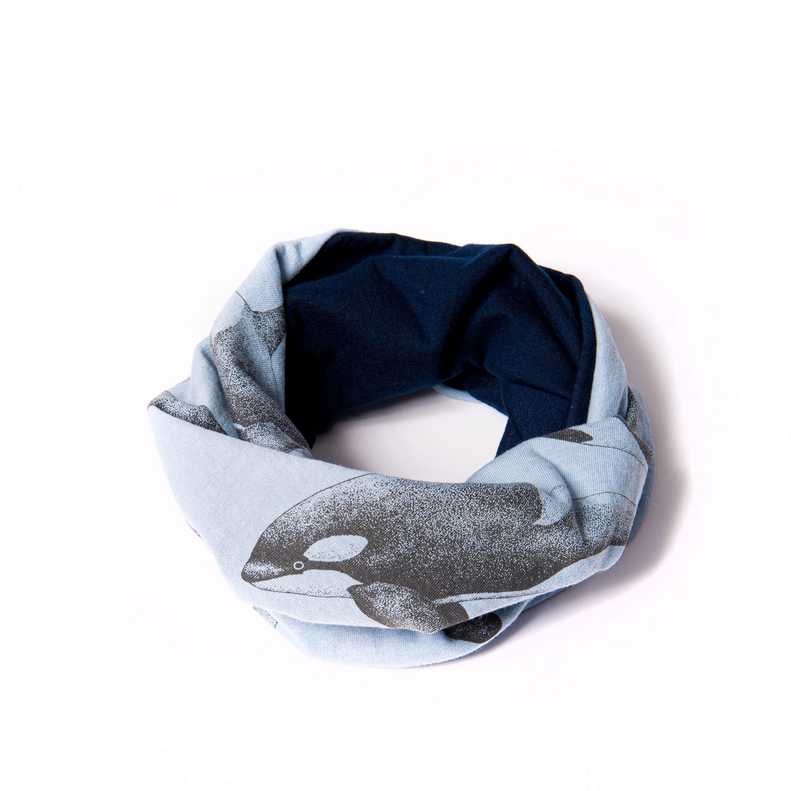 Orca image 1