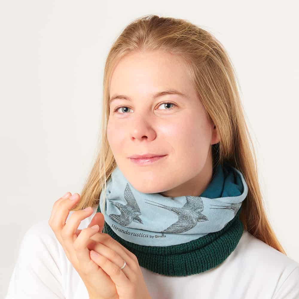 Golondrina común image 0