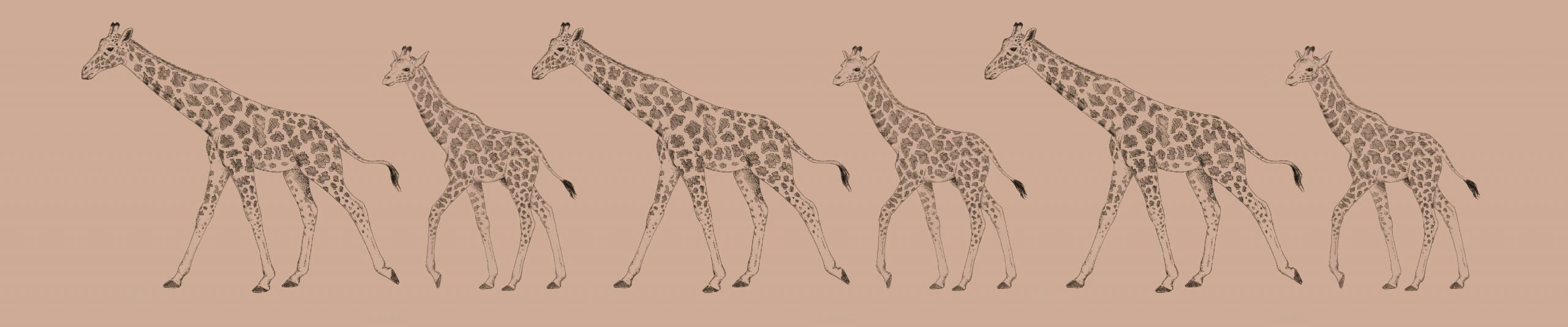 giraffa.dev