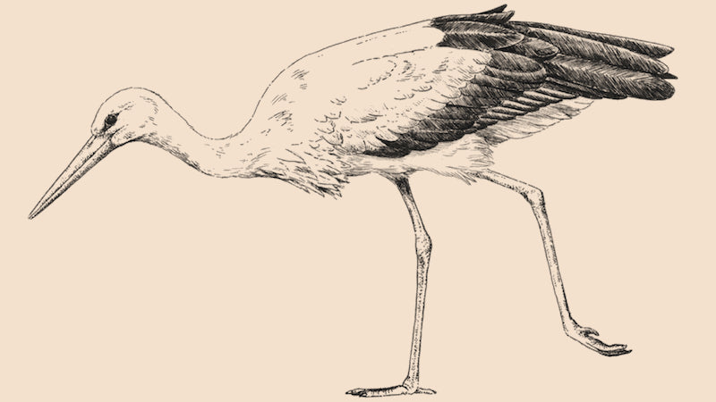giraffa.dev