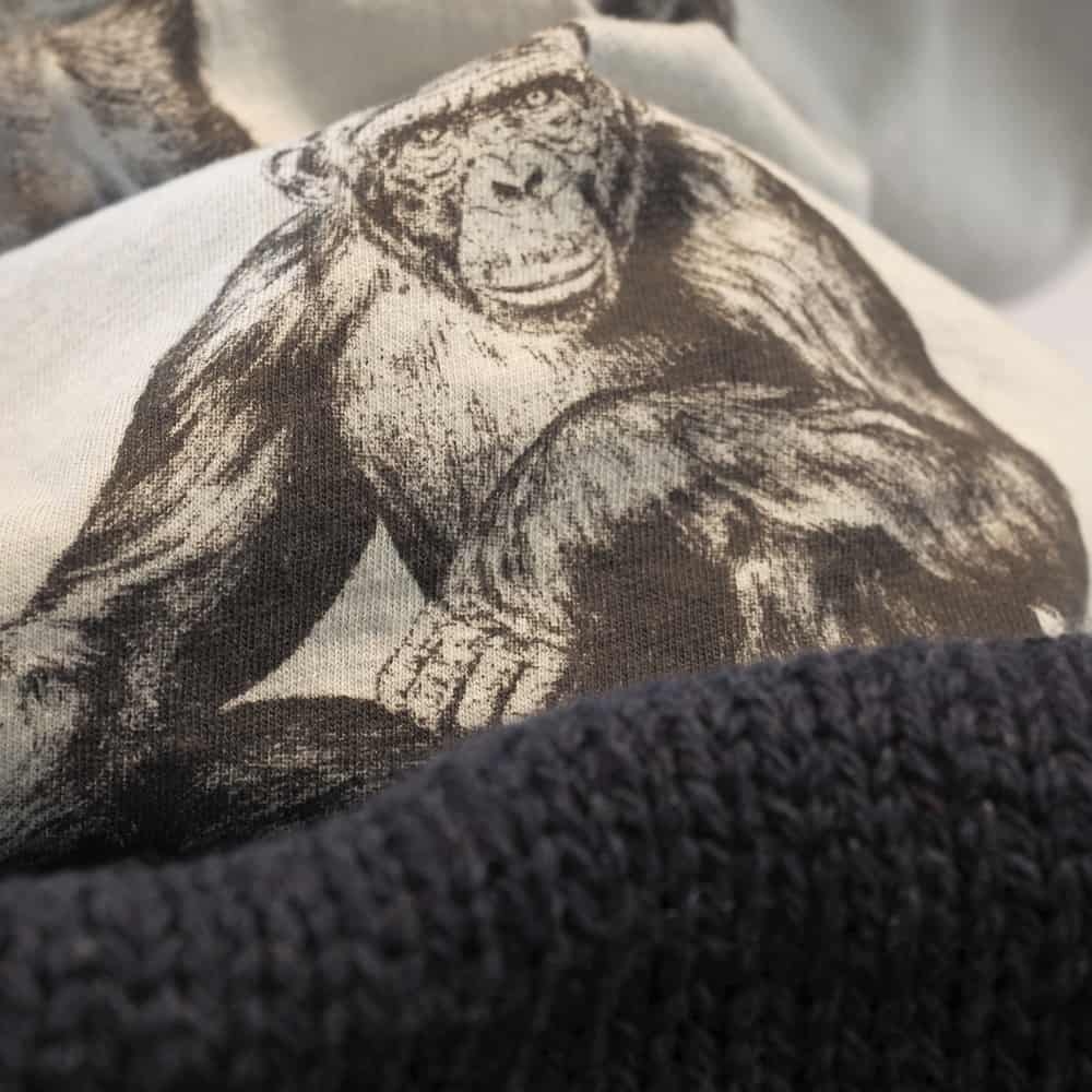 Chimpancé común image 4