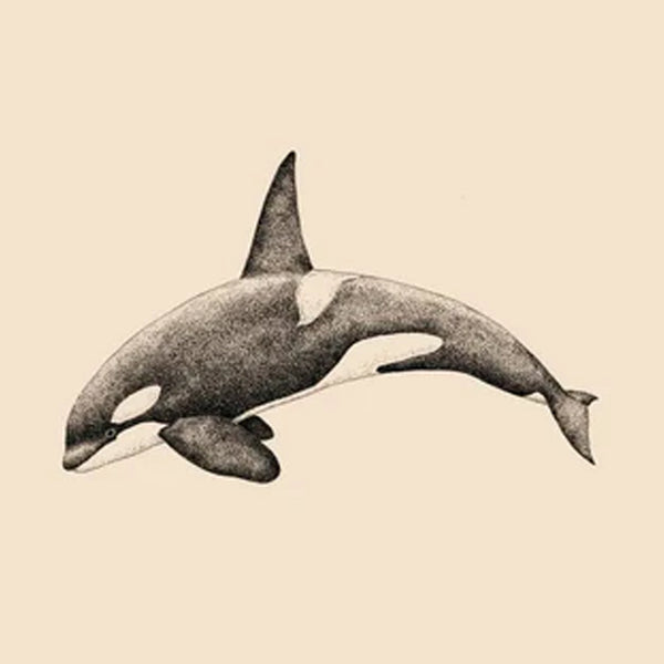 ORCA